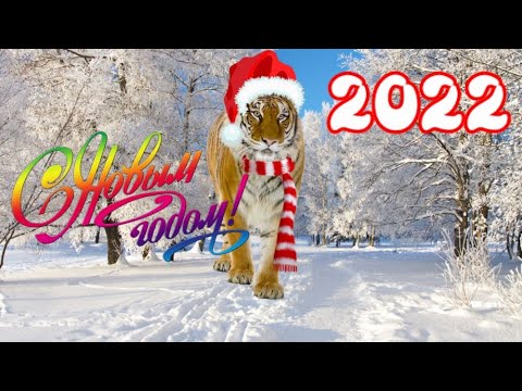 С наступающим Новым Годом 🌲Поздравление с Новым Годом 🎵 Музыкальная открытка для вас