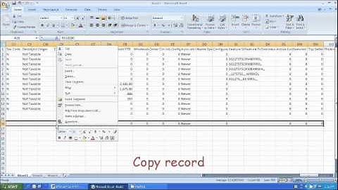 Copy Paste to SyteLine