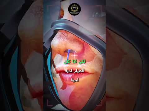 لماذا لا يرتدي الطيارون اللحى