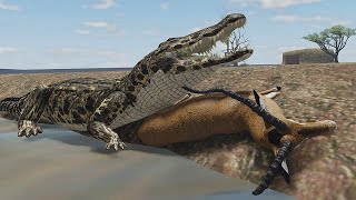 Life of a Nile Crocodile! | Wild Savannah