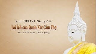 Kinh NIKAYA Giảng Giải - Lợi Ích Của Quán Xét Cảm Thọ - ĐĐ. Thích Minh Thành