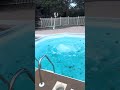 Blowout pool pipes winterize floor drain prevent freeze damage #shorts #work
