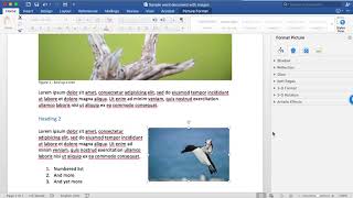 MoodleRooms and accessibility - Blackboard Ally