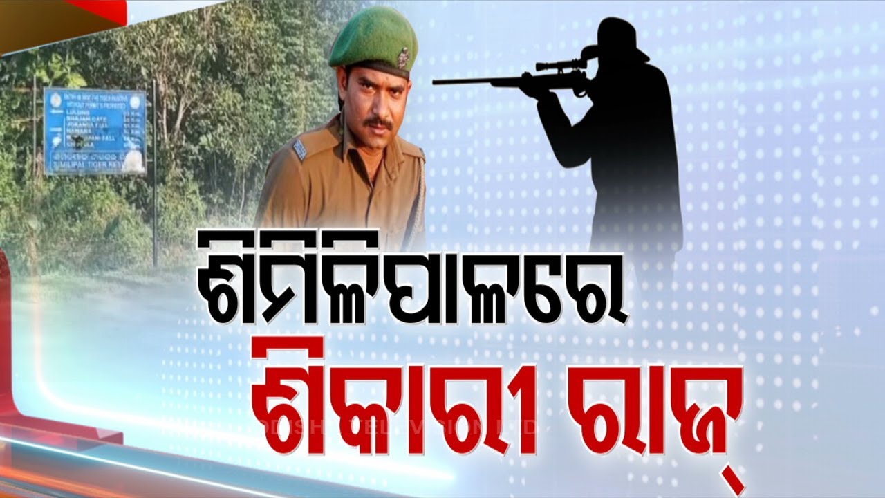 Poachers rule roost in Similipal forest as forest guard shot dead on ...