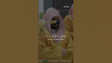 الشيخ ماهر المعيقلي سورة النحل ..#ماهر_المعيقلي #اكسبلور #تيك_توك #سورة_النحل #لايك #المصحف