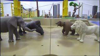 2 vs 2 Animal Battle, elephant gorilla vs lion bear 2대2 동물 대결, 코끼리 고릴라 vs 사자 곰