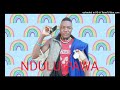 NDULU PAWA HARUSI YA MWALU
