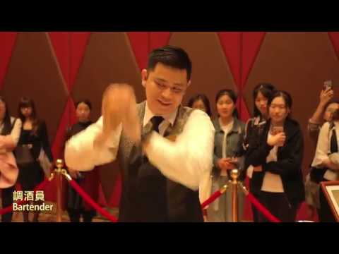 2017澳門職業技能認可基準金襟針大賽    Macao Occupational Skills Recognition System (MORS) Gold Pin Competition 2017
