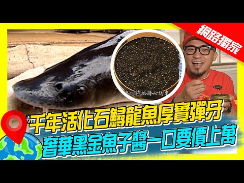 【中國】湖南千年活化石鱘龍魚厚實彈牙 奢華黑金魚子醬一口要價上萬｜《世界第一等》288集濃縮精華版 #世界該去哪