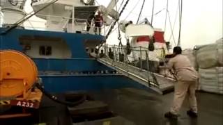 Avmar Communications: Inmarsat FleetBroadband Case Study for Albatun Dos