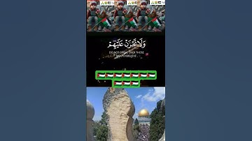 قران كريم القران راحة نفسية فلسطين عربية غزة الرباط رفح تهجر الأقصى أسير #فلسطين #رفح#غزة #قران .