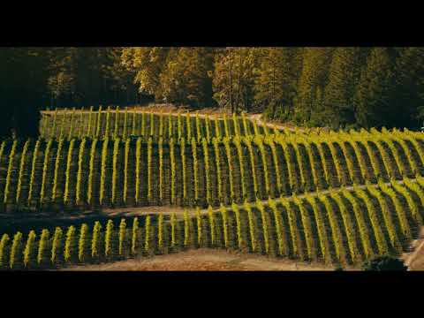 Kosta Browne | Appellations