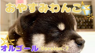 【癒し・リラックス系BGM】30秒おきに切り替わるかわいい子犬の写真を楽しみながらリラックスできるオルゴールBGMを聴くことができます。