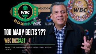 Too many WBC belts ???