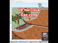 Vẽ mái chùa đao cong