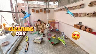 Sara Master Cage Ki Safai Kardi 🥰Cleaning Day of Master Cage 🧹🥳