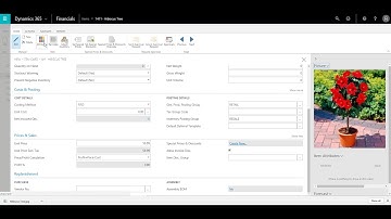 Business Central Adding Item Attributes