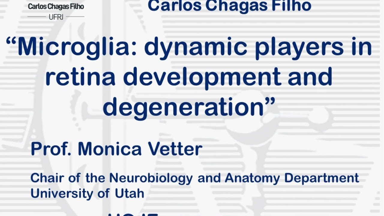 Microglia: dynamic players in retina development and generation - YouTube