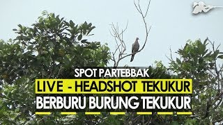 HEADSHOT TEKUKUR JARAK JAUH BENAR² PATEN & AMPUH