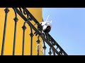 Protect the beautiful swimming pool -- Solar outdoor camera🌊
