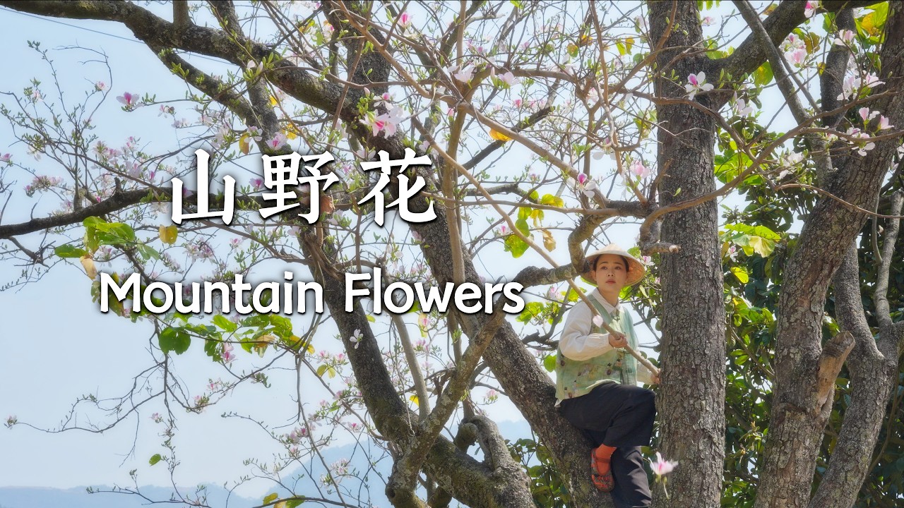 April in Yunnan: A Culinary Paradise for Wild Mountain Greens
