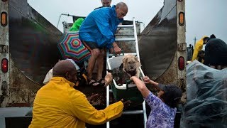 Harvey flood crisis: Texans escape rising water