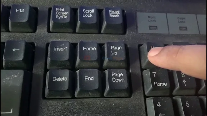Number Keys not Working in Windows 10