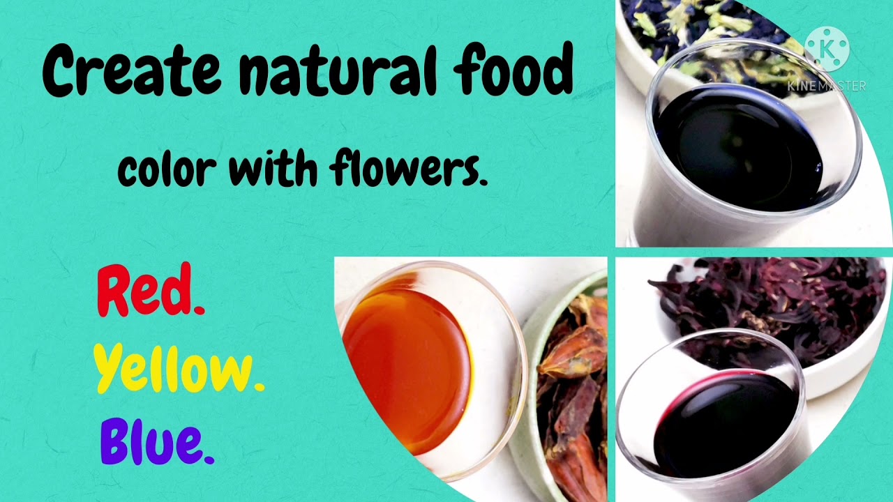How to Create Natural Food Color with Flowers l Natural Color can be