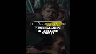 Аль-Анам🎙 Чтец  -  Ibrahim Al-Asiri I ابراهيم العسيري106