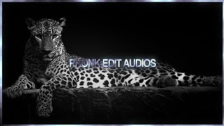 —★ TREND PHONK EDIT AUDIOS AT BIG 25