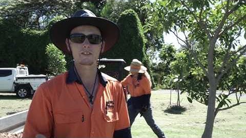 Do you use grass clippings as mulch on your gardens?