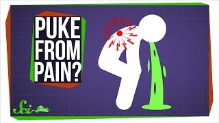 Why Can Severe Pain Make You Vomit? Why Can Severe Pain Make You Vomit?