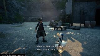 Imagine this: A Duck in Pirate Attire asking about Crabs~