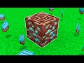 NON ROMPERE QUESTO BLOCCO DI DIAMANTE NETHERITE - Minecraft ITA