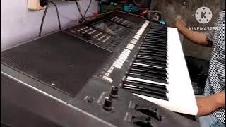 lintang Asmoro || cover keyboard Yamaha || sampling Yamaha psr s