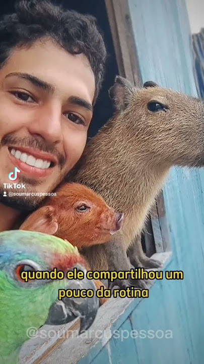 Capivara Memes - Foi a tv q tava alta #capivaramemes019