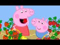 Peppa Pig en Español Episodios | PERFUME | Pepa la cerdita