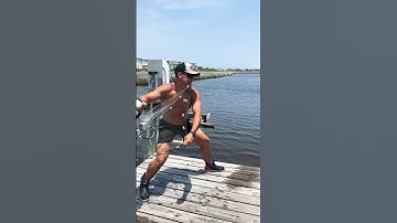 Cast netting mullet #fish #fishing #trending #viral #fisherman #bay #mullet #ocean #shorts #casting