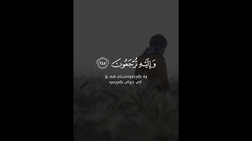 مَّن ذَا الَّذِي يُقْرِضُ اللَّهَ قَرْضًا حَسَنًا .... [سورة البقرة 245] ❤️ القارئ آزاد فائق الكردي