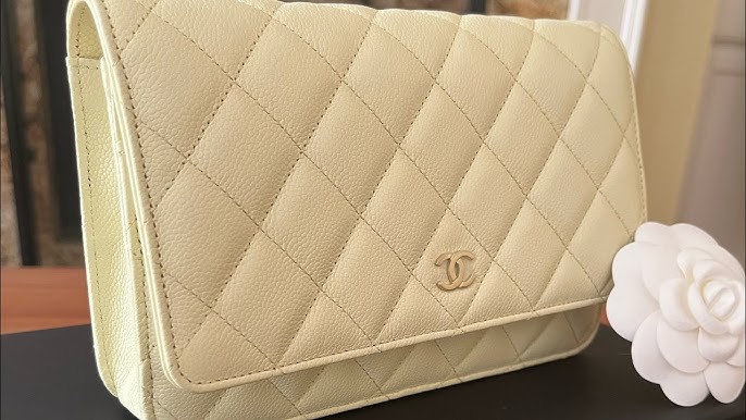 Chanel 20B Unboxing New Wallet On Chain With Phone Case, What fits