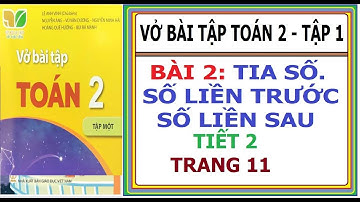 BÀI 2: TIA SỐ, SỐ LIỀN TRƯỚC, SỐ LIỀN SAU - TIẾT 2 | VỞ BÀI TẬP TOÁN LỚP 2 TẬP 1, KẾT NỐI TRI THỨC