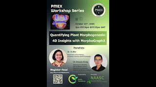 Quantifying Plant Morphogenesis:4D Insights with MorphoGraphX