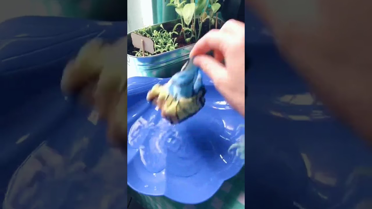 cute Disney things~ Elsa magic towel, just add water! #disneyhome #elsa #frozen