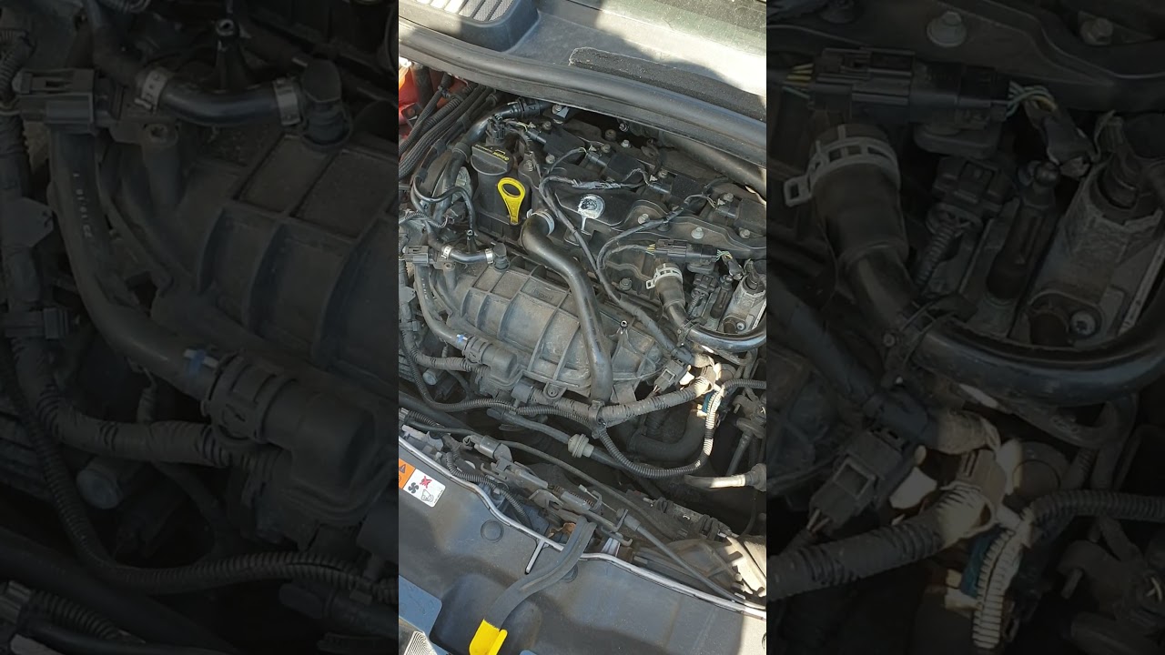 1.6 EcoBoost knocking noise. What can cause this sound? Please help!