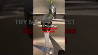 SHARPEST SCISSORS THIS IS INSANE!