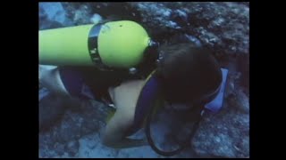 Scuba Diving Exploring Reef 1980