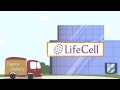 5 Easy Steps for collecting and preserving Umbilical Cord Stem Cells with LifeCell