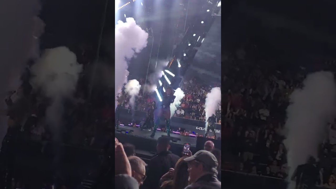 GARIBALDI (banana) tour pop 