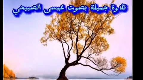 من سورة هود بصوت عيسى سالم الصبيحي اليمني 