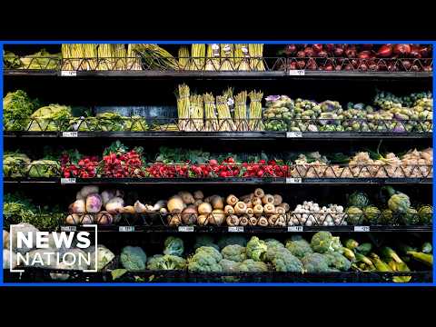 Multiple foodborne illnesses spread nationwide
